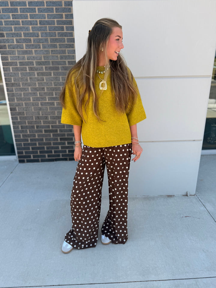 Brown Polka Dot Pants