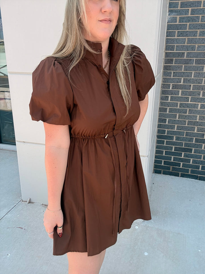 Carob Tie Waist Dress