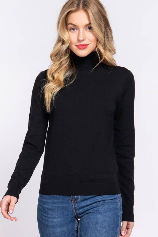 Black Turtle Neck Basic Top