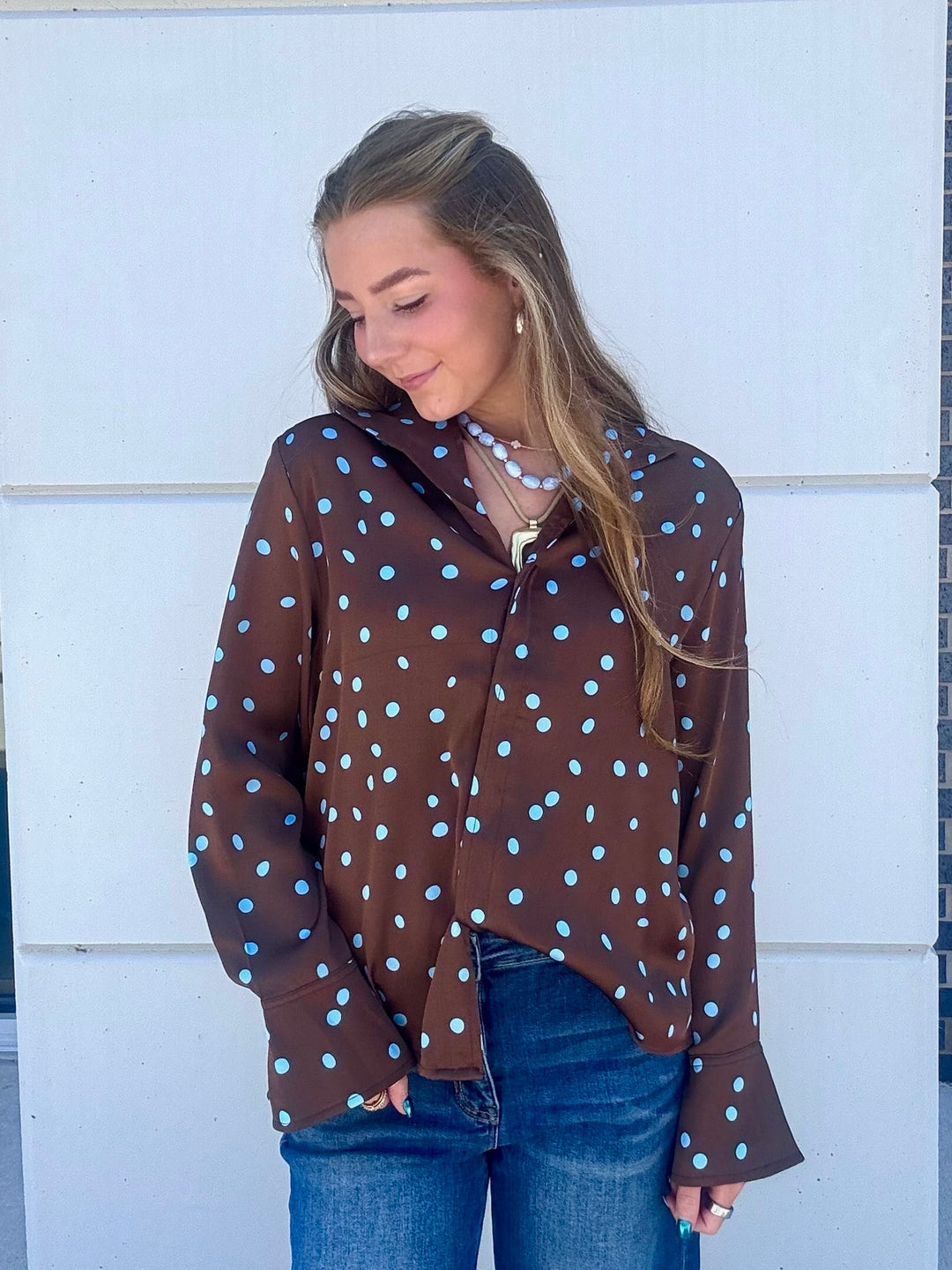 Brown/Blue Button Up Blouse